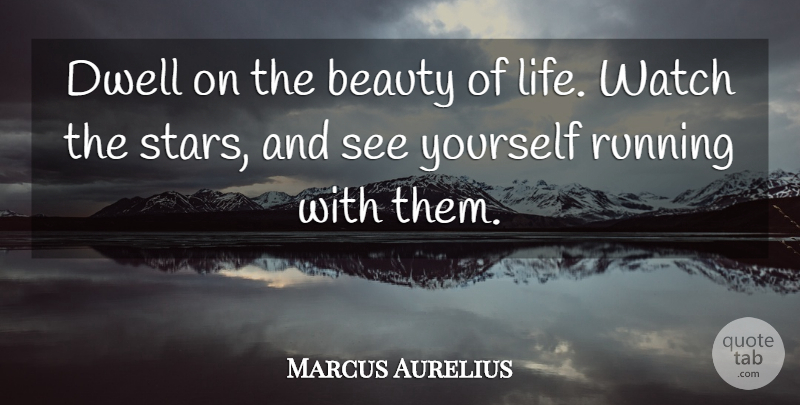 Marcus Aurelius Quote About Life, Beauty, Running: Dwell On The Beauty Of...