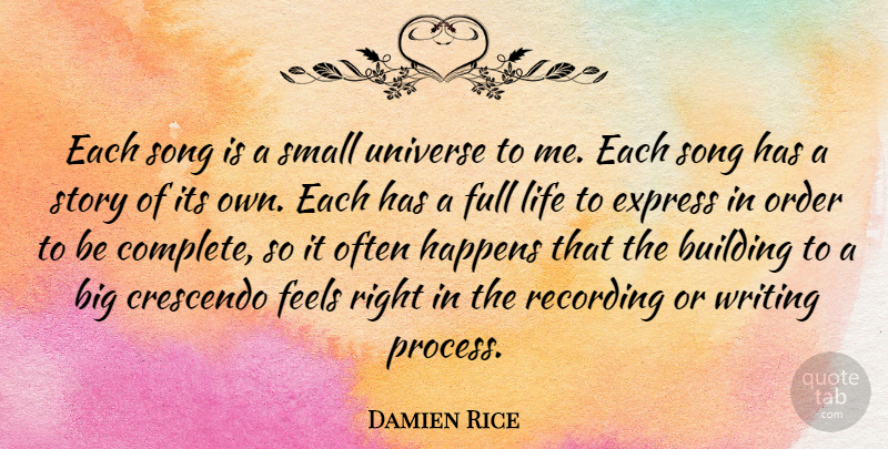Damien Rice Quote About Building, Express, Feels, Full, Happens: Each Song Is A Small...