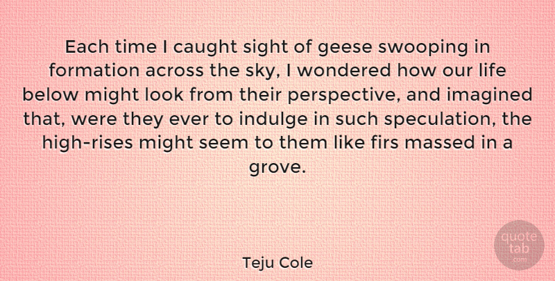 Teju Cole Quote About Sky, Indulge In, Sight: Each Time I Caught Sight...