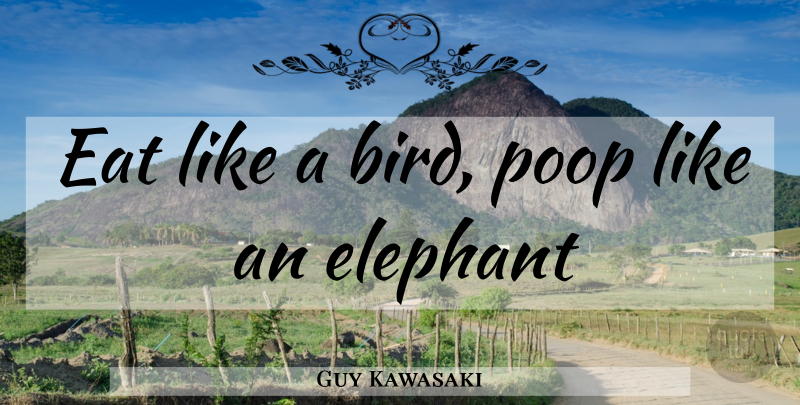 Guy Kawasaki Quote About Elephants, Bird, Poop: Eat Like A Bird Poop...