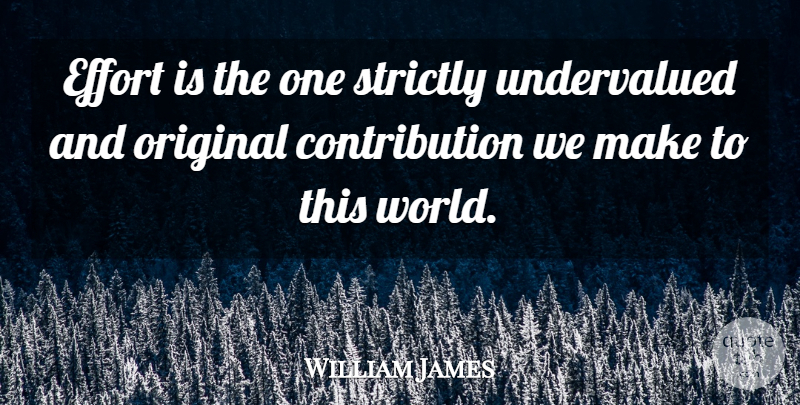 William James Quote About Effort, World, Contribution: Effort Is The One Strictly...