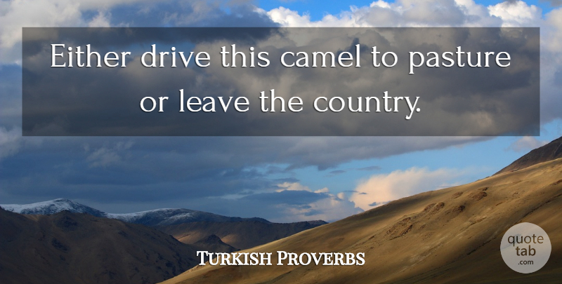 Turkish Proverbs Quote About Camel, Drive, Either, Leave, Pasture: Either Drive This Camel To...