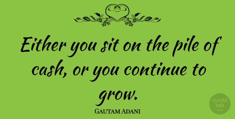 Gautam Adani Quote About Either, Pile, Sit: Either You Sit On The...