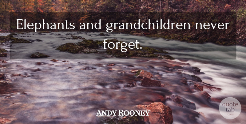 Andy Rooney Quote About Grandmother, Grandchildren, Elephants: Elephants And Grandchildren Never Forget...