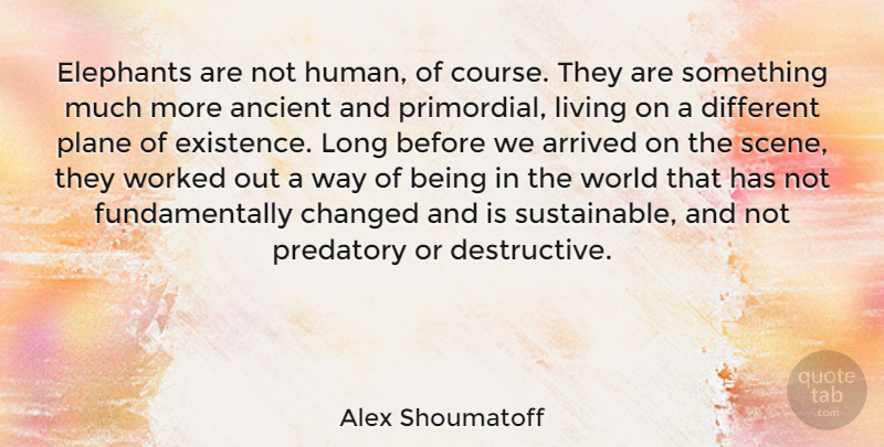 Alex Shoumatoff Quote About Arrived, Changed, Plane, Worked: Elephants Are Not Human Of...