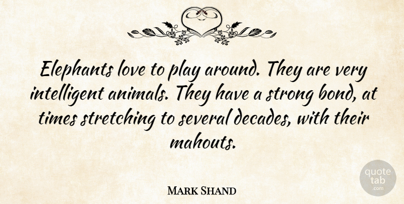 Mark Shand Quote About Elephants, Love, Several, Stretching: Elephants Love To Play Around...