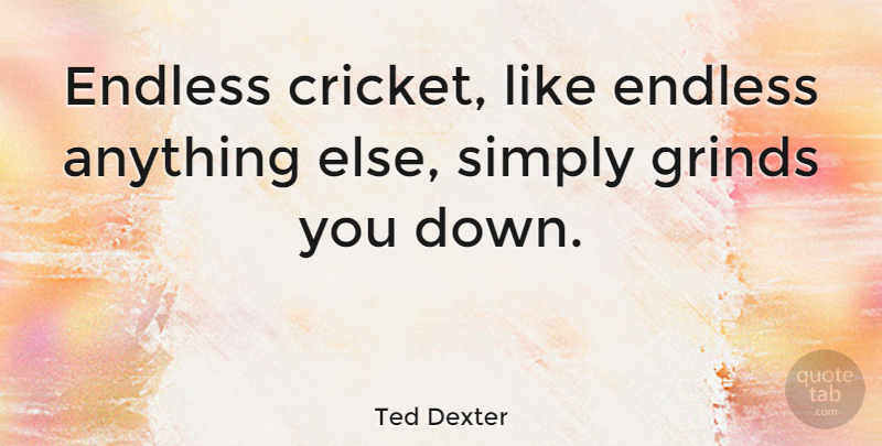Ted Dexter Quote About Grind, Endless, Cricket: Endless Cricket Like Endless Anything...