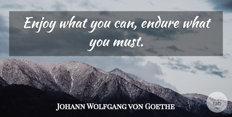 Johann Wolfgang von Goethe Quote About Enjoy, Endure: Enjoy What You Can Endure...