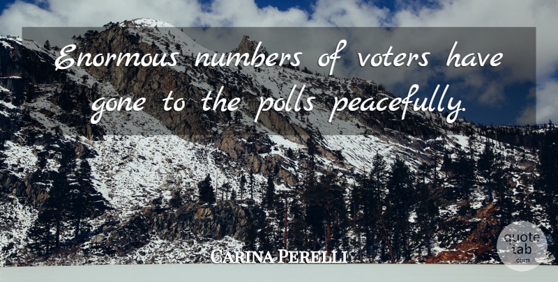 Carina Perelli Quote About Enormous, Gone, Numbers, Polls, Voters: Enormous Numbers Of Voters Have...