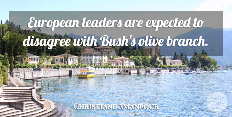 Christiane Amanpour Quote About Disagree, European, Expected, Leaders, Olive: European Leaders Are Expected To...