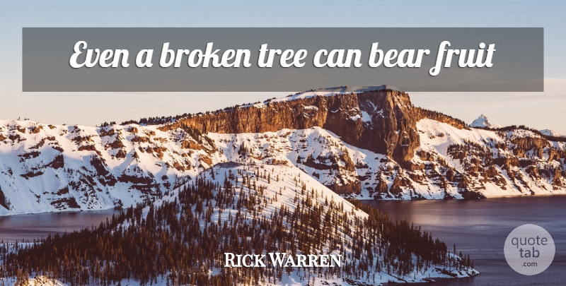 Rick Warren Quote About Broken, Tree, Fruit: Even A Broken Tree Can...