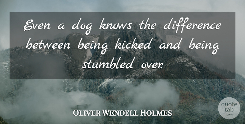 Oliver Wendell Holmes Quote About Dog, Differences, Knows: Even A Dog Knows The...