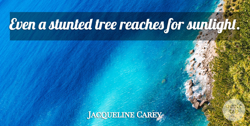 Jacqueline Carey Quote About Tree, Sunlight: Even A Stunted Tree Reaches...