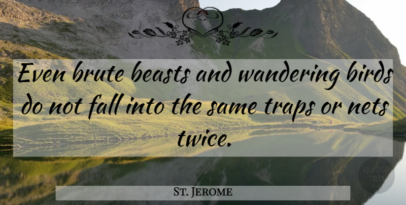 St. Jerome Quote About Fall, Bird, Beast: Even Brute Beasts And Wandering...