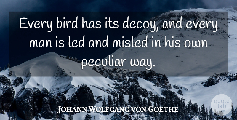 Johann Wolfgang von Goethe Quote About Men, Bird, Temptation: Every Bird Has Its Decoy...