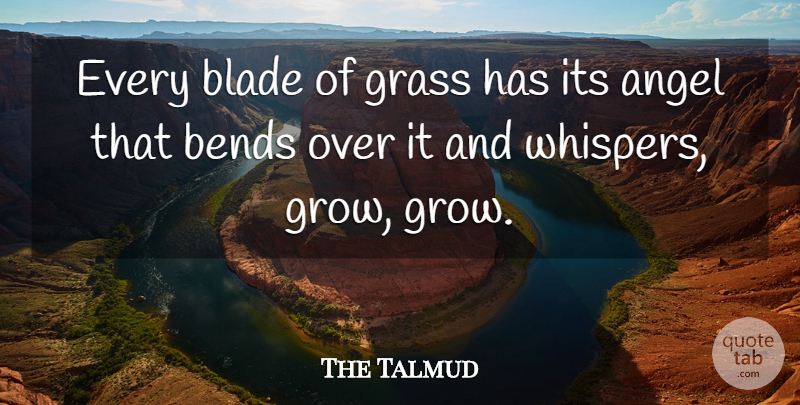 The Talmud Quote About Adversity, Angel, Bends, Blade, Grass: Every Blade Of Grass Has...