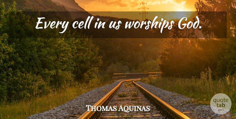 Thomas Aquinas Quote About Cells, Worship, Worship God: Every Cell In Us Worships...