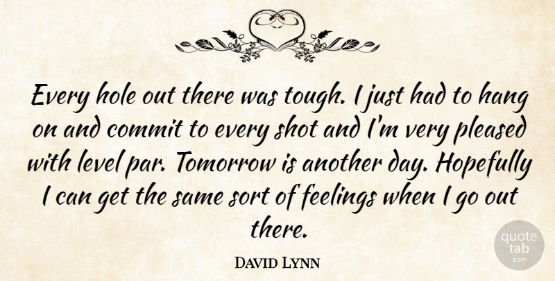 David Lynn Quote About Commit, Feelings, Hang, Hole, Hopefully: Every Hole Out There Was...