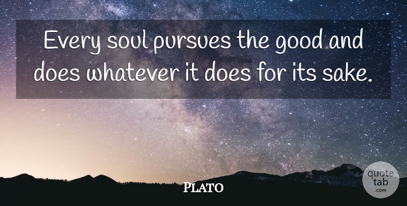 Plato Quote About Soul, Sake, Doe: Every Soul Pursues The Good...