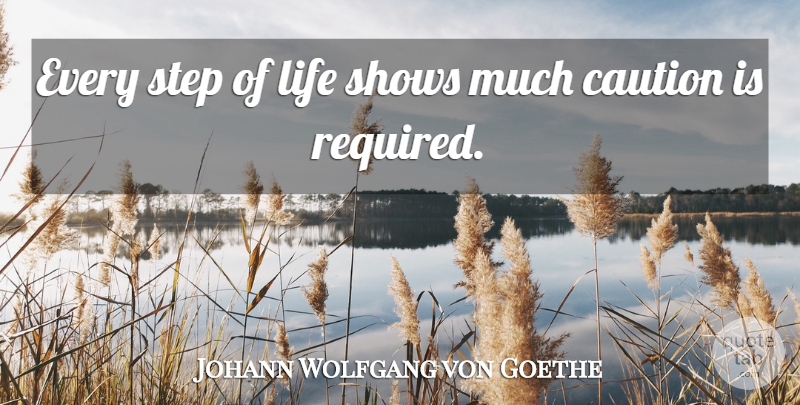 Johann Wolfgang von Goethe Quote About Literature, Steps, Caution: Every Step Of Life Shows...