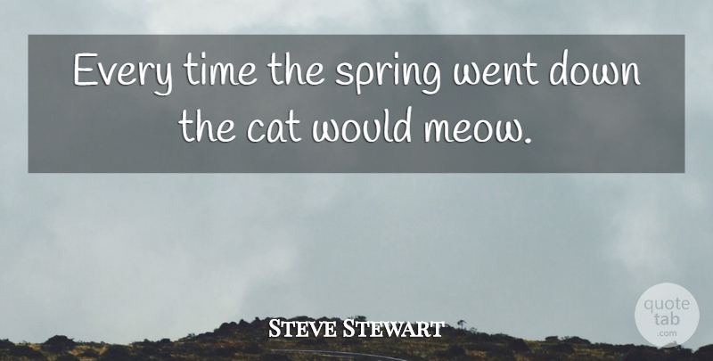 Steve Stewart Quote About Cat, Spring, Time: Every Time The Spring Went...