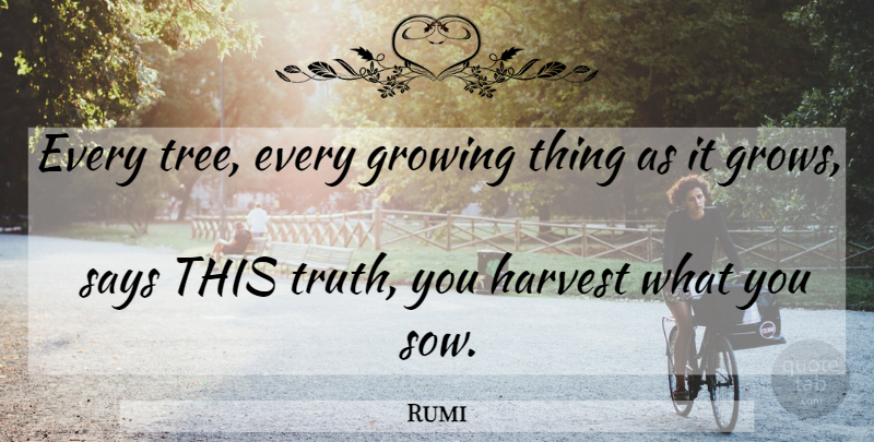 Rumi Quote About Tree, Growing, Harvest: Every Tree Every Growing Thing...