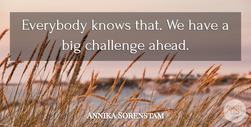 Annika Sorenstam Quote About Challenge, Everybody, Knows: Everybody Knows That We Have...