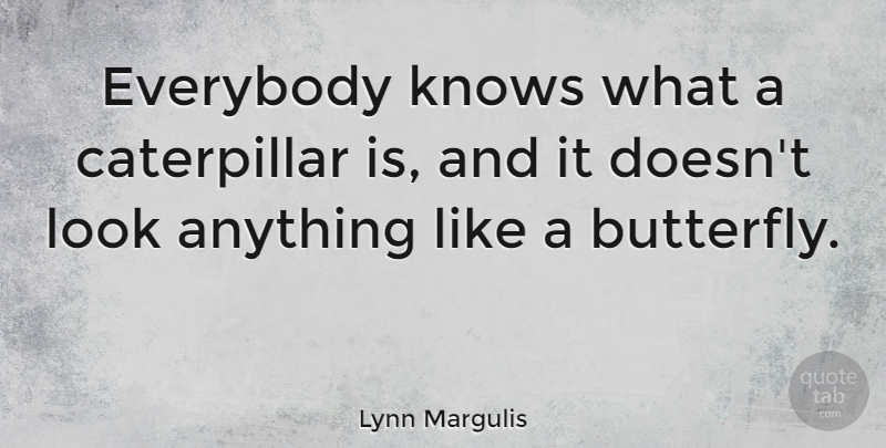 Lynn Margulis Quote About Butterfly, Looks, Caterpillars: Everybody Knows What A Caterpillar...