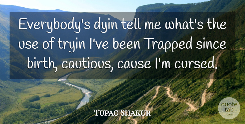 Tupac Shakur Quote About Cause, Since, Trapped, Tryin: Everybodys Dyin Tell Me Whats...
