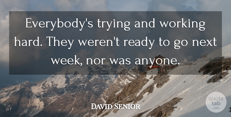 David Senior Quote About Next, Nor, Ready, Trying: Everybodys Trying And Working Hard...
