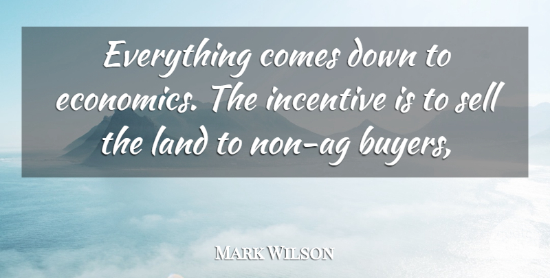 Mark Wilson Quote About Economy And Economics, Incentive, Land, Sell: Everything Comes Down To Economics...
