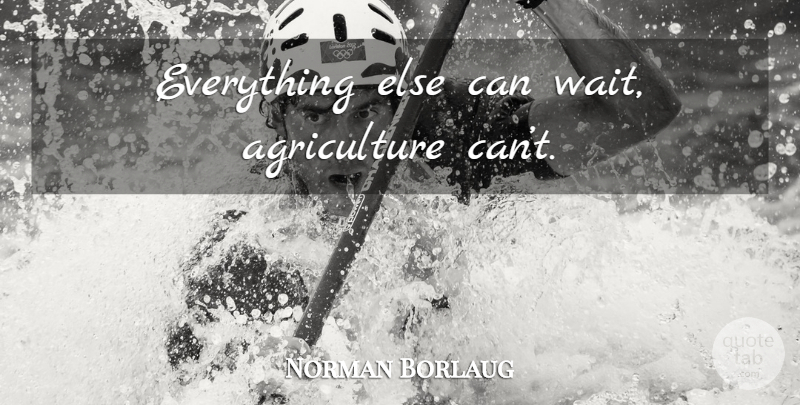 Norman Borlaug Quote About Agriculture, Waiting: Everything Else Can Wait Agriculture...