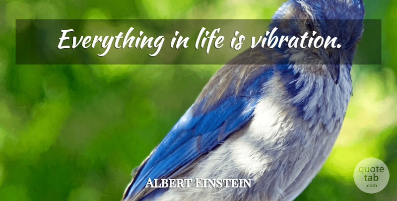 Albert Einstein Quote About Spiritual, Vibrations, Life Is: Everything In Life Is Vibration...