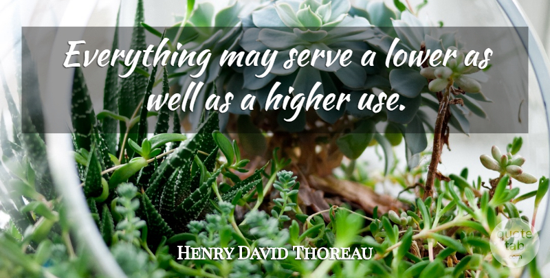 Henry David Thoreau Quote About May, Use, Transcendentalism: Everything May Serve A Lower...