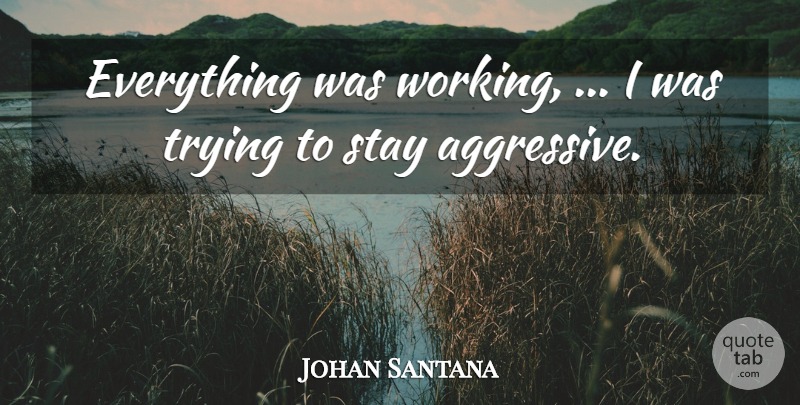 Johan Santana Quote About Stay, Trying: Everything Was Working I Was...