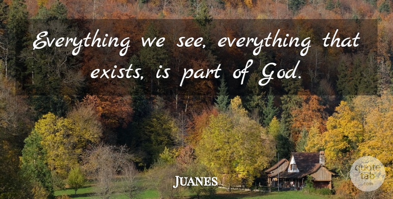 Juanes Quote About undefined: Everything We See Everything That...