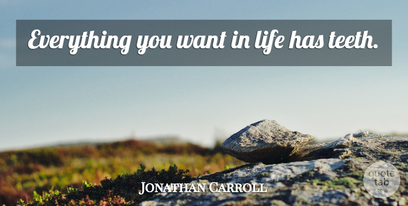 Jonathan Carroll Quote About Teeth, Want: Everything You Want In Life...