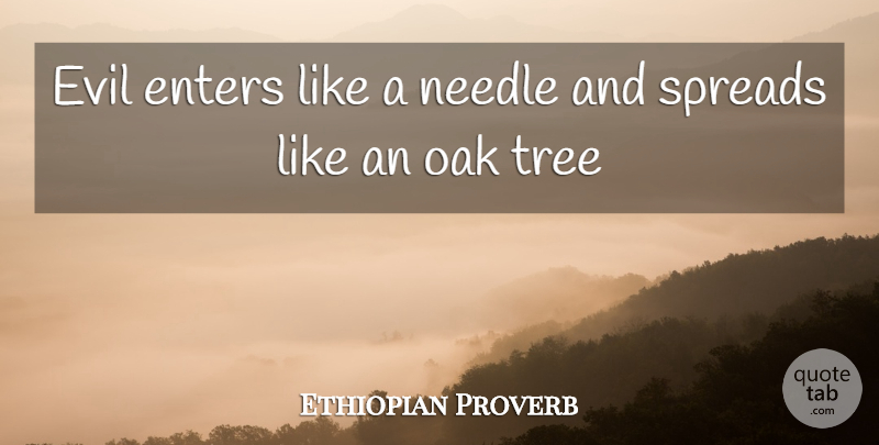 Ethiopian Proverb Quote About Enters, Evil, Needle, Oak, Tree: Evil Enters Like A Needle...