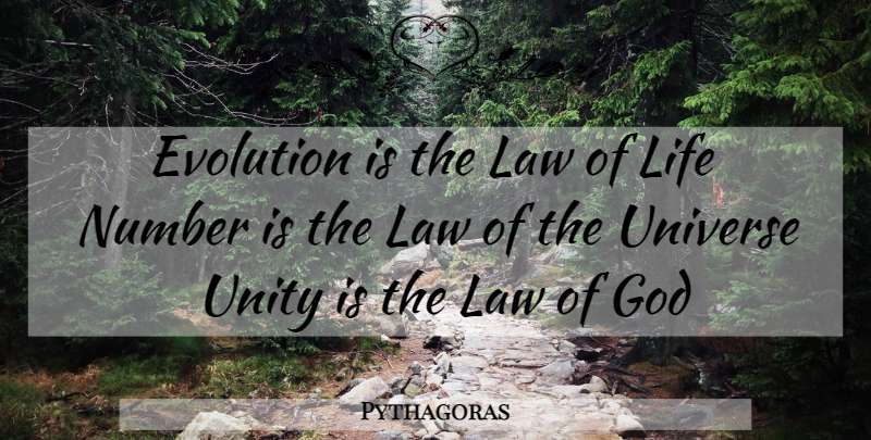 Pythagoras Quote About Law, Numbers, Unity: Evolution Is The Law Of...