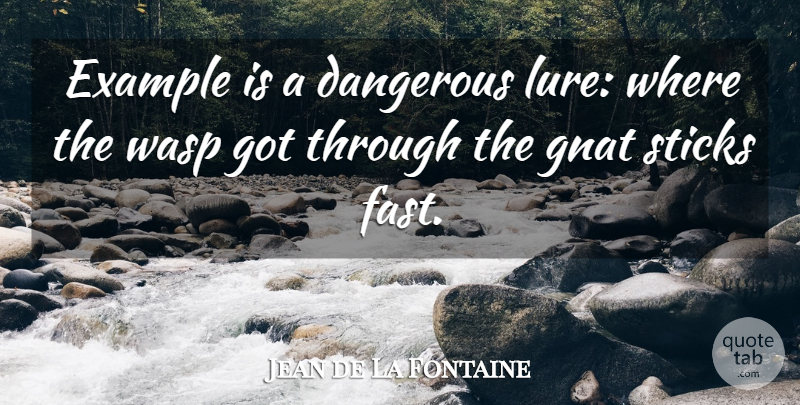 Jean de La Fontaine Quote About Knowledge, Gnats, Sticks: Example Is A Dangerous Lure...