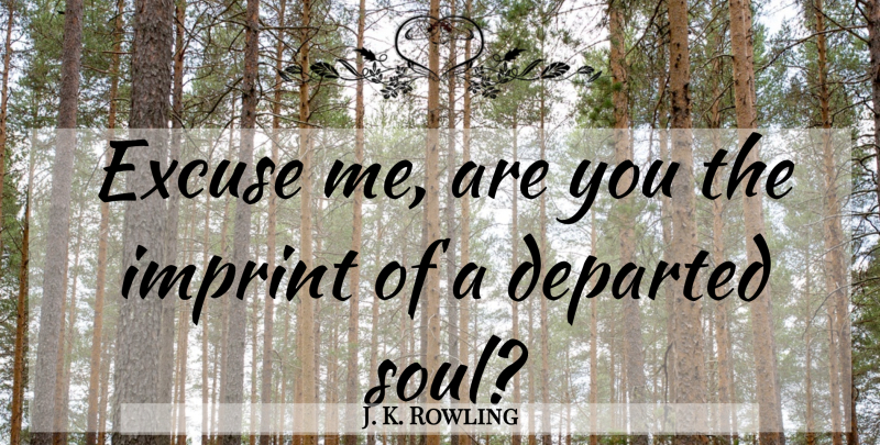 J. K. Rowling Quote About Soul, Departed, Funny Harry Potter: Excuse Me Are You The...