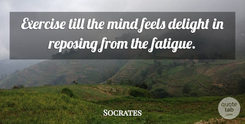 Socrates Quote About Exercise, Mind, Delight: Exercise Till The Mind Feels...