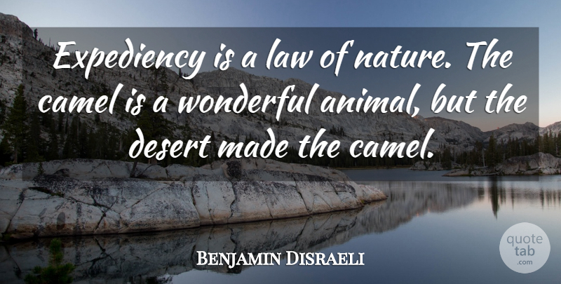 Benjamin Disraeli Quote About Animal, Law, Desert: Expediency Is A Law Of...
