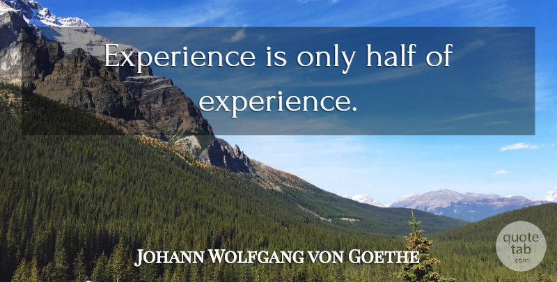 Johann Wolfgang von Goethe Quote About Experience, Half: Experience Is Only Half Of...