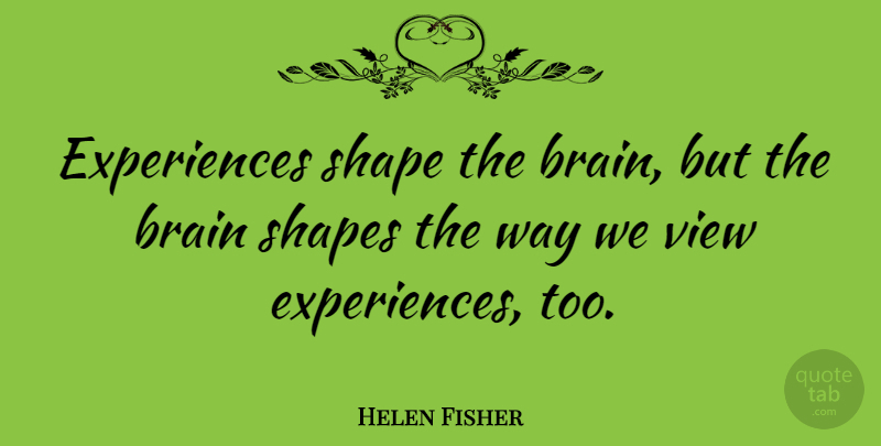 Helen Fisher Quote About Views, Brain, Way: Experiences Shape The Brain But...