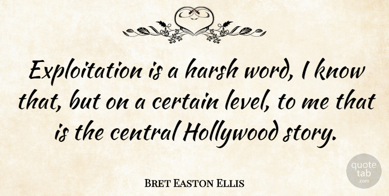 Bret Easton Ellis Quote About Stories, Levels, Hollywood: Exploitation Is A Harsh Word...