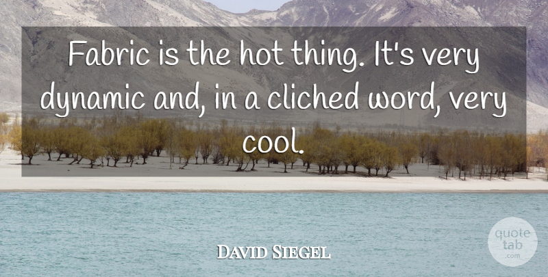 David Siegel Quote About Cliched, Cool, Dynamic, Fabric, Hot: Fabric Is The Hot Thing...