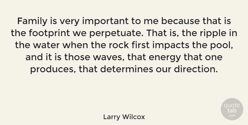 Larry Wilcox Quote About Rocks, Impact, Water: Family Is Very Important To...
