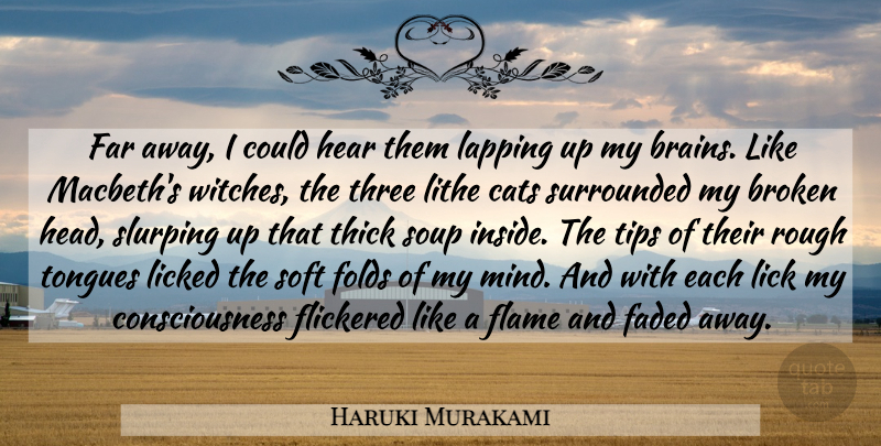 Haruki Murakami Quote About Cat, Flames, Broken: Far Away I Could Hear...