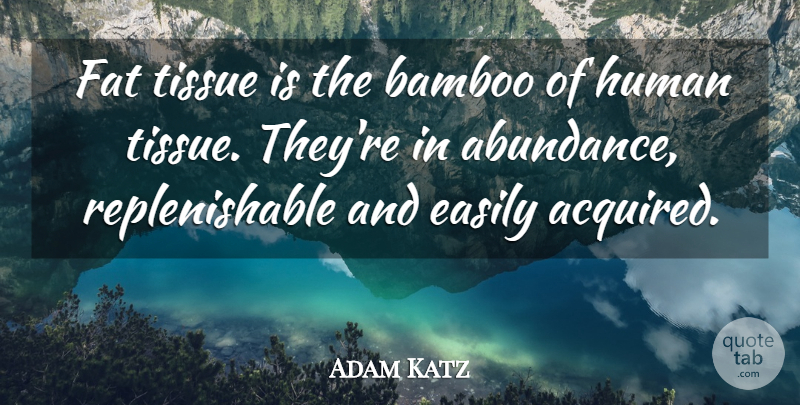 Adam Katz Quote About Bamboo, Easily, Fat, Human, Tissue: Fat Tissue Is The Bamboo...